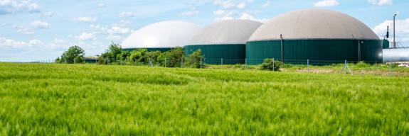 Biogas der Zukunft