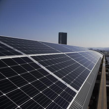 Beratungsgespräch_Renera