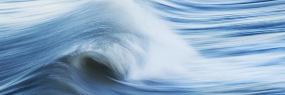 2021 war für die Energie Zukunft Schweiz AG ein dynamisches Jahr. 