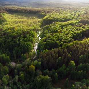 Jahresrückblick 2022 Energie Zukunft Schweiz Gruppe.