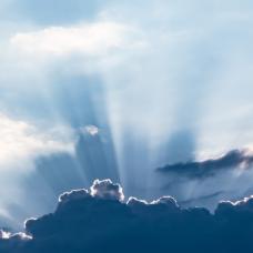 CO2 Einsparungen durch Klimaprämie