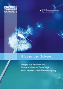 Biogas der Zukunft
