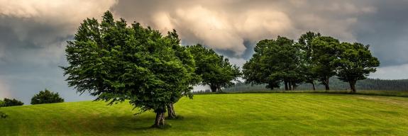 Energie Zukunft Schweiz