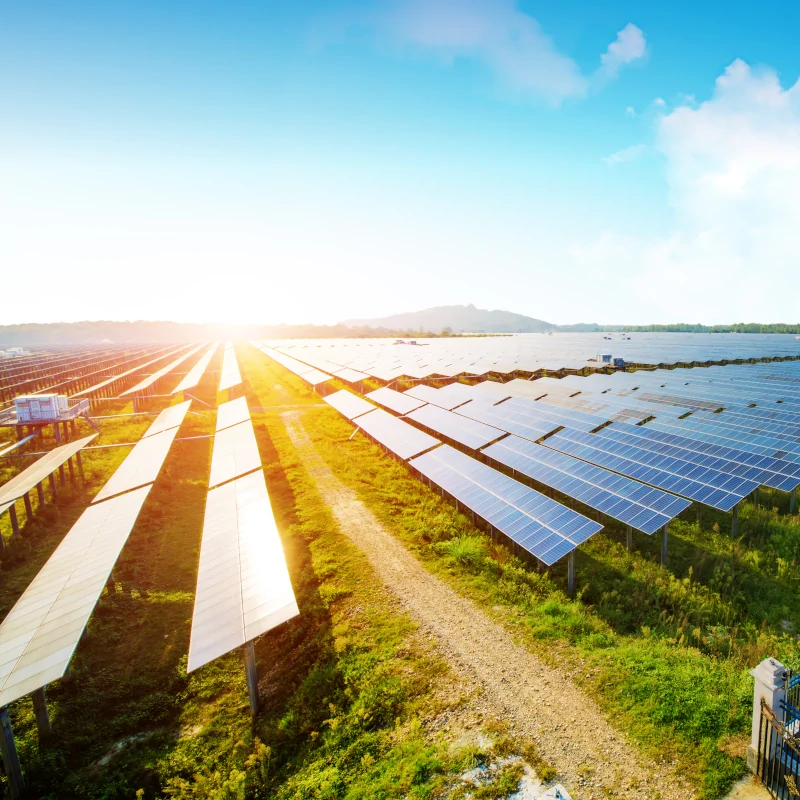 renewable energy project example of greenfield solar on a sunny day